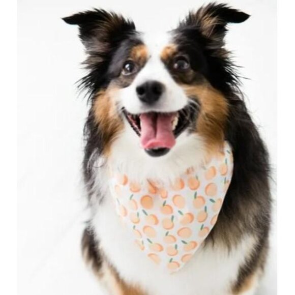 Pearhead Pet Mom and Dog Matching Peach Bandana and Hair Scrunchie Set Size: S/M - Picture 5 of 5